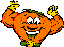 citrusolution carpet cleaning