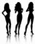 Aim Entertainment Escort Agency