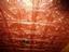 Ceiling Tiles By Us