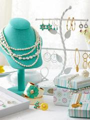 Stella & Dot, Independent Stylist - Itasca, IL