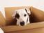 McCombs Moving