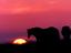 Provided by Courage to Change Addiction Recovery Treatment Ctr, Simla 
