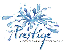 Prestige Window & Roof Cleaning