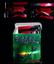 Black Ant - All Natural Health Products