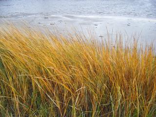 Massage Away Muscular Therapy - Osterville, MA