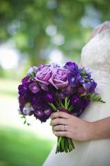 Black-Eyed Susan - Watkinsville, GA