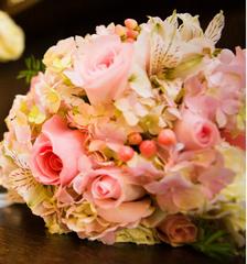 Black-Eyed Susan - Watkinsville, GA