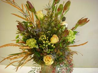 Black-Eyed Susan - Watkinsville, GA