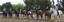 Provided by Monte Vista Horsemanship Camp, Watsonville 