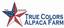 Provided by True Colors Alpaca Farm, Caledonia 