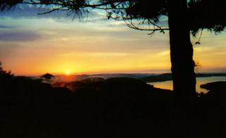 Whispering Woods Cabins - Calico Rock, AR