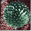 Landscaping Winchester VA | Lawn...