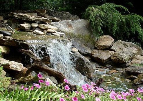 Landscaping with Rocks