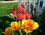 Provided by Hunt Landscape Designs, Moscow Mills 