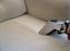 Provided by All Green Carpet Cleaning, San Francisco 