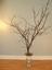 Branching Outt LLc - Where...