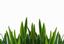 Provided by Davenport's Lawn Care, LLC, Clayton 