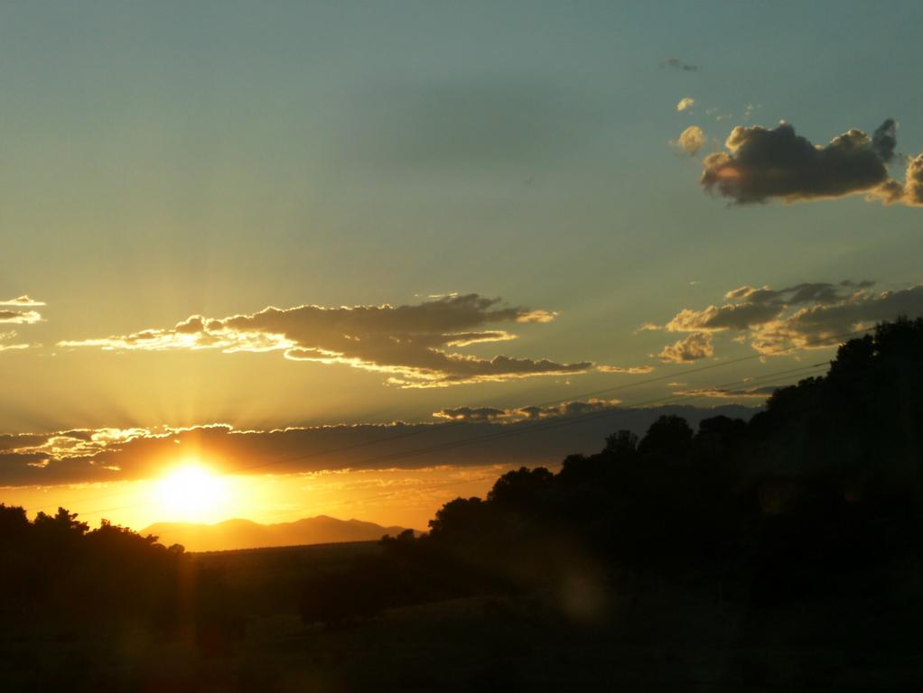 do it yourself debt negotiation