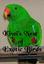 Provided by Kiwi's Nest of Exotic Birds, Lawsonville 