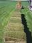 Utah Valley Turf - Sod, Grass and Lawn