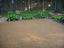 Rockway Surfaces, Inc.