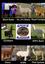 Provided by Alpacas of Alagaesia, Lakeville 