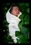 Luminous Photographs