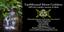 Earthbound Moon Goddess 100% Soy Candles