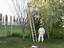 Duarte's Bee Removal