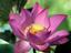 BodyWorx Massage Therapy, LLC