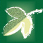 Safer Earth