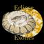 Eclipse Exotics / Eclipse Metaphysical