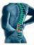 Provided by Dahlgren Chiropractic Clinic, King George 