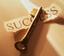 Success in Life Marketing