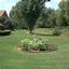 Ragz to Richezz Landscaping and Lawn Care