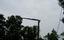 Massey Tree Service