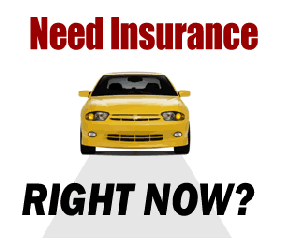 I need insurance now
