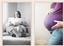 Provided by C. Bayless Photography & Design, Zimmerman 