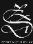 Zenitram Design