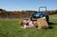 Provided by Pet Pawtography by Kim, Breinigsville 