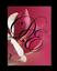 Divine Elegance LLC