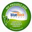 BlueRock Energy