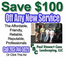 seo services for restaurants bethel seo services for restaurants bethel