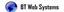 BT Web Systems