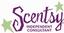 Scentsy Wickless Candles