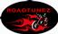 RoadTunez Universal Motorcycle Audio Systems