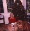 Lisa's Live In Pet Sitting