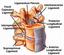 Provided by Colorado Comprehensive Spine Institute, Englewood 