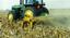 Bison Industries Inc., Apache Manufacturing, Buffalo Equipment Henke Machine, Palco Livestock Equip
