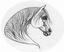 Laurali Arabians